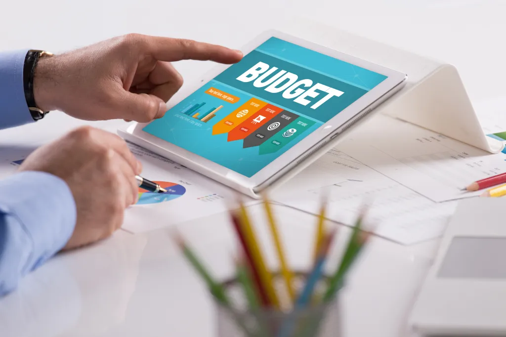 Person reviewing budget plan for saving toward big expenses on a smart phone